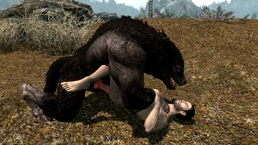 3d_(artwork) anal animal_genitalia animal_penis balls baring_teeth big_dom_small_sub brown_fur canine canine_penis detailed_background digital_media_(artwork) fur human knot lying male male/male mammal mature missionary_position old on_back pale_skin penis rough_sex sex size_difference skyrim teeth the_elder_scrolls video_games were werewolf wolf