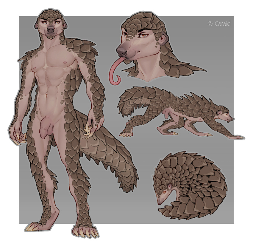 anthro balls caraid feral flaccid humanoid_penis long_tongue looking_at_viewer male mammal model_sheet nude pangolin penis solo tongue uncut