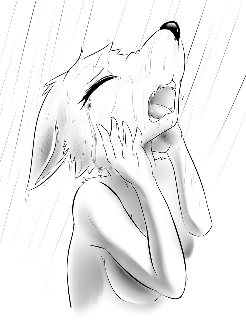 2015 anthro breasts canine crying eyes_closed female fur mammal monochrome nude open_mouth raining simple_background solo tailzkim tears teeth tongue water wet white_background white_fur