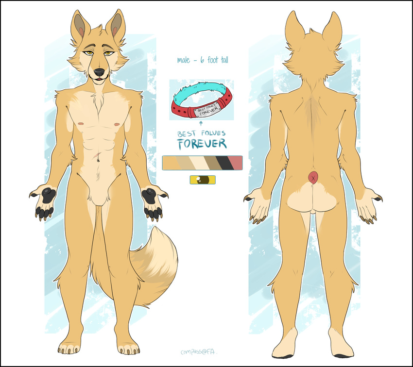 anthro canine collar compass_(artist) featureless_crotch looking_at_viewer male mammal model_sheet nipples nude solo