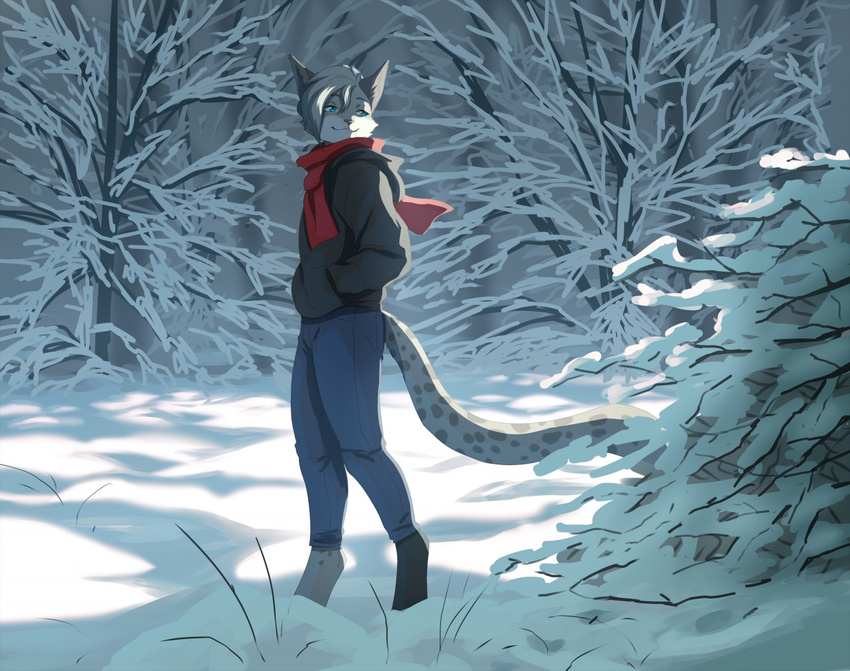 akitamonster anthro barefoot blue_eyes bushes cheek_tuft clothed clothing countershading detailed_background eyebrows feline full-length_portrait fully_clothed fur grey_fur grey_hair grey_spots grey_tail hair half-closed_eyes hands_in_pockets hoodie inner_ear_fluff leopard looking_back lynx lyx_(lynxer) male mammal multicolored_fur outside pants pink_nose portrait scarf short_hair side_view smile snow snow_leopard solo spots spotted_fur spotted_tail standing tree tuft two_tone_fur white_fur winter