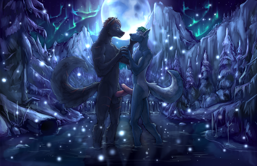 5_fingers anthro aurora_borealis balls biceps black_nose blue_eyes blue_fur brown_eyes brown_hair butt canine cheek_tuft dark duo embrace eye_contact fluffy fluffy_tail forest fur green_hair grey_fur hair humanoid_hands humanoid_penis male male/male mammal moon mountain multicolored_fur muscular night nude outside partially_retracted_foreskin pecs penis pink_nose pink_penis pointy_ears sky smile snow standing thrasian tree tuft two_tone_fur uncut water white_fur winter wolf