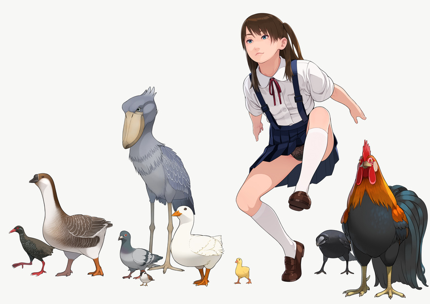 animal animal_request bird black_panties blue_eyes brown_hair chicken chinese_zodiac commentary copyright_request duck duckling eurasian_tree_sparrow go_robots goose kneehighs light_smile loafers long_hair odd_one_out panties pantyshot pantyshot_(standing) pet_play pigeon rooster school_uniform shoebill shoes side_ponytail simple_background skirt solo sparrow standing suspender_skirt suspenders underwear upskirt white_background year_of_the_rooster