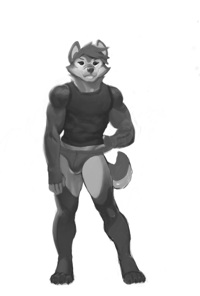 anthro bulge canine clothed clothing julicat looking_at_viewer male mammal monochrome muscular solo standing underwear