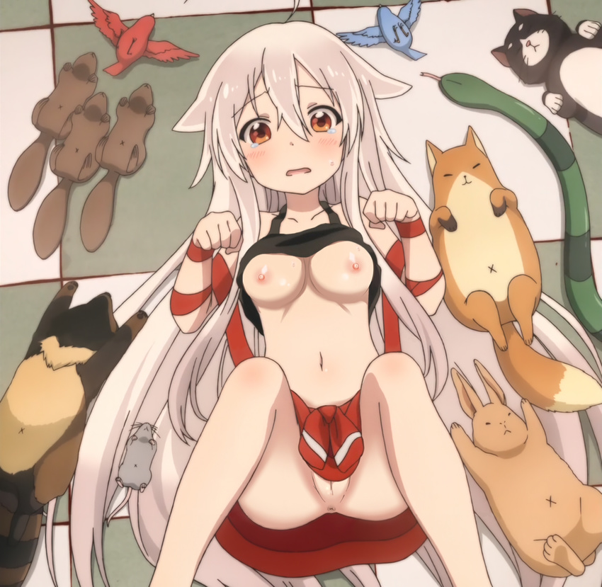 1girl animal anus arm_ribbon belly bird blush breasts bunny cat chiya_(urara_meirochou) fox hair_between_eyes long_hair lying mouse navel nipples orange_eyes paw_pose pussy raccoon red_eyes ribbon shirt_lift silver_hair skirt small_breasts snake squirrel tank_top tears tile_floor tiles urara_meirochou