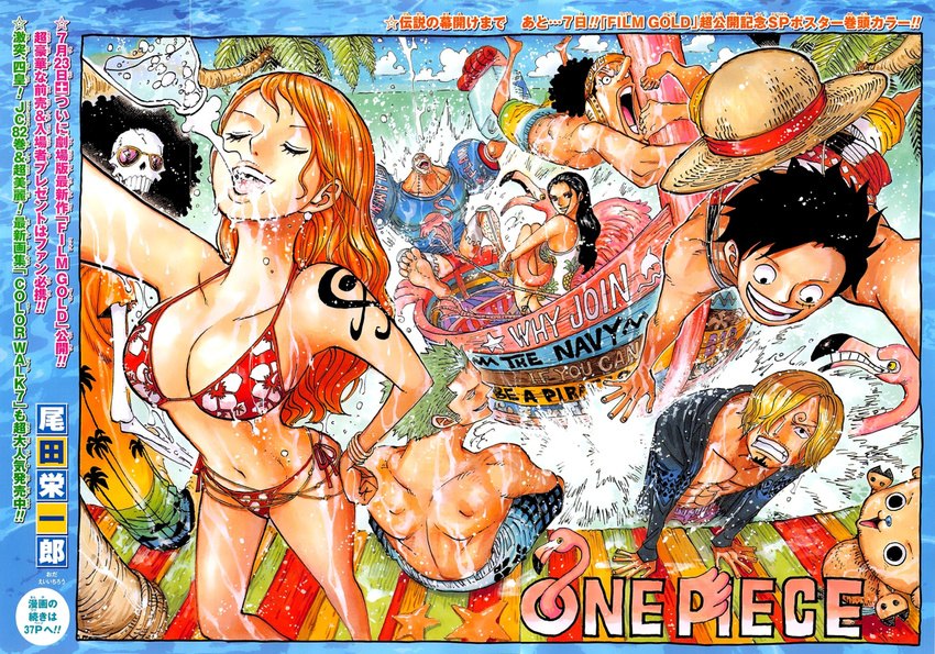 2girls 6+boys bikini black_hair blonde_hair blue_hair brook cover_art franky green_hair hat long_hair monkey_d_luffy multiple_boys multiple_girls nami_(one_piece) nico_robin one_piece orange_hair roronoa_zoro sanji scar straw swimsuit tony_tony_chopper usopp wet