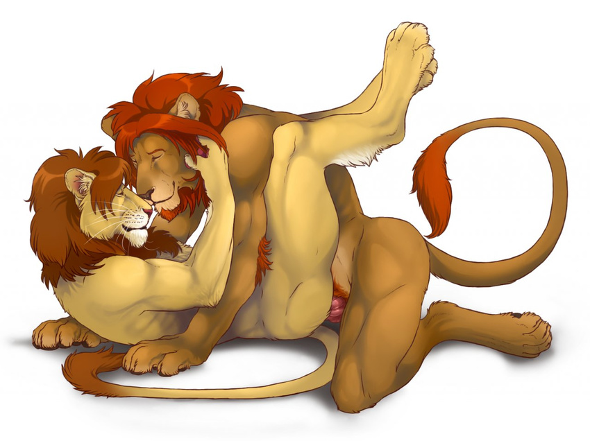 anal anthro feline lion male male/male mammal penis rayndancer sex