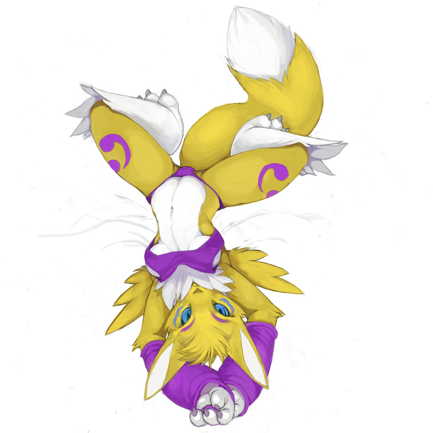 bikini breasts clothing digimon female foxmode looking_at_viewer renamon simple_background solo swimsuit under_boob