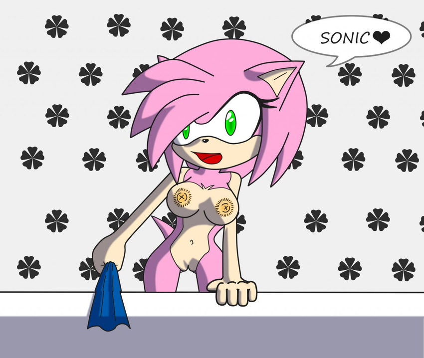 amy_rose sonic_team tagme