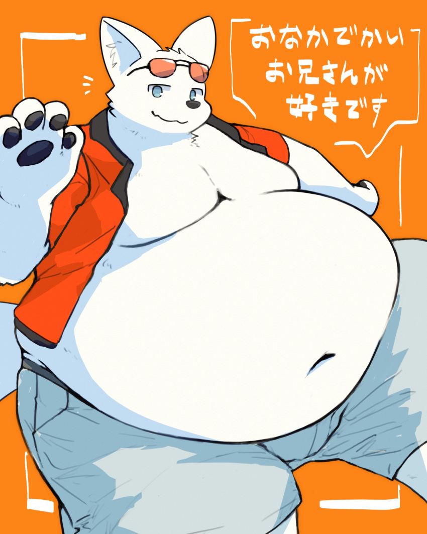 4_fingers absurd_res anthro belly big_belly blue_eyes canid canine canis clothing eyewear eyewear_on_head fingers fur hi_res huge_belly male mammal obese obese_anthro orange_background overweight overweight_anthro simple_background solo sunglasses sunglasses_on_head taka_fin9623 text white_body white_fur wolf