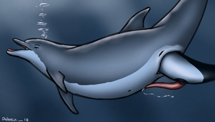 2016 anatomically_correct anatomically_correct_genitalia anatomically_correct_penis animal_genitalia animal_penis bodily_fluids bubble cetacean cetacean_genitalia cetacean_penis commerson's_dolphin cum cum_in_water dolorcin dolphin duo erection female female_pred feral feral_on_feral feral_pred feral_prey genital_fluids genitals head_first larger_female larger_pred male male/female male_prey mammal marine oceanic_dolphin open_mouth partially_inside penis pussy signature size_difference smaller_male smaller_prey soft_vore tapering_penis toothed_whale unbirthing underwater vaginal vore water willing_prey year