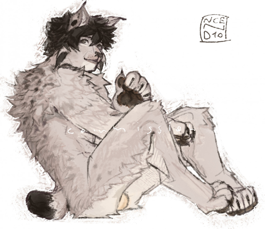 anthro balls black_hair canadian_lynx felid feline fluffy fur genitals grey_body grey_fur hair lynx lynx_(lynx_scenting) male mammal ncend1o nub_tail pawpads paws solo