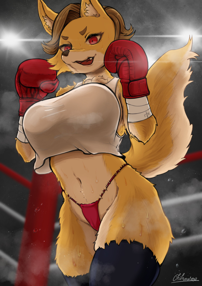 absurd_res anthro big_breasts bodily_fluids boxing boxing_gloves breasts brown_hair canid canine chikarasox clothing female fighting_ring fox hair handwear hi_res legwear mammal musk open_mouth perspective shirt smile solo sport steam stockings sweat tank_top topwear