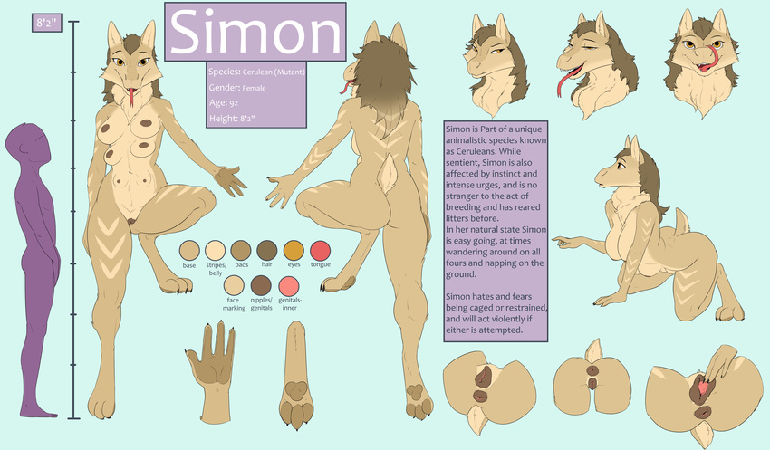 2017 animal_genitalia animal_pussy anthro anus breasts butt canine_pussy cerulean english_text female fur gewitter hair model_sheet multi_breast nipples nude pawpads puffy_anus pussy simon_(mizkana) simple_background smile solo spreading text tongue