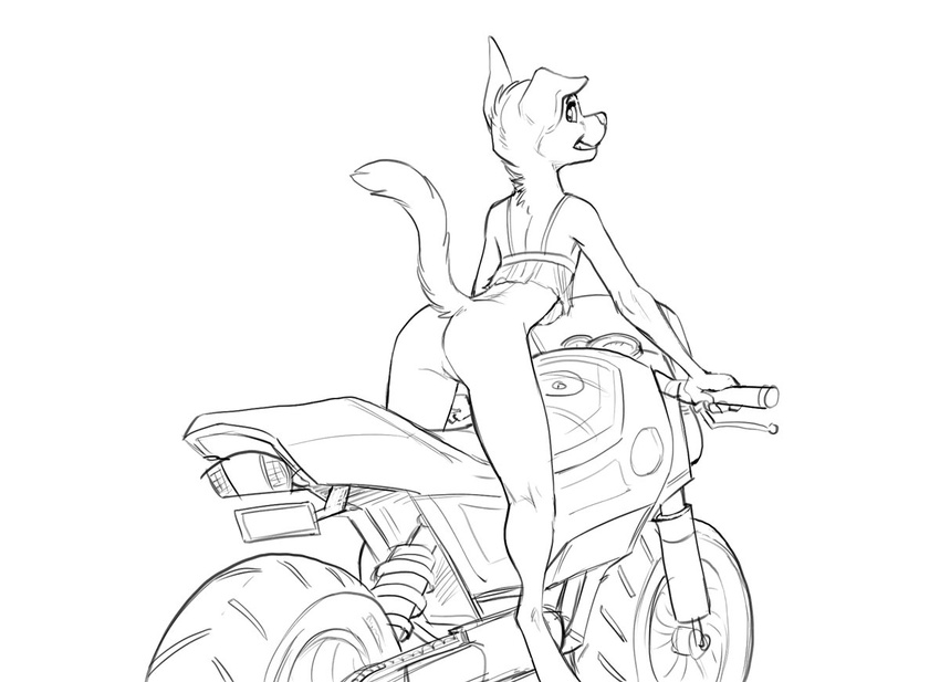 adam_wan anthro bottomless canine clothed clothing cynthia_(zaush) digitigrade dog female flat_chested floppy_ear fur greyscale grin mammal monochrome motorcycle partially_clothed pussy raised_tail simple_background solo translucent transparent_clothing vehicle white_background