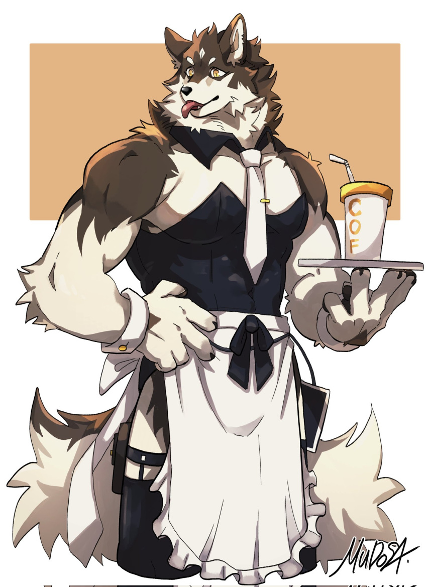 1boy animal_ears animal_hands apron artist_name bara black_leotard black_ribbon black_thighhighs body_fur brown_background brown_fur claws commentary cropped_legs crossdressing cup detached_collar dog_boy dog_ears dog_tail drinking_straw fangs frilled_apron frills furry furry_male hand_on_own_hip hands_up highres holding holding_tray large_hands leotard looking_to_the_side male_focus mudosa necktie open_mouth original ribbon short_eyebrows simple_background slit_pupils solo symbol-only_commentary tail thighhighs tongue tongue_out tray waist_apron white_apron white_background white_necktie wrist_cuffs yellow_eyes