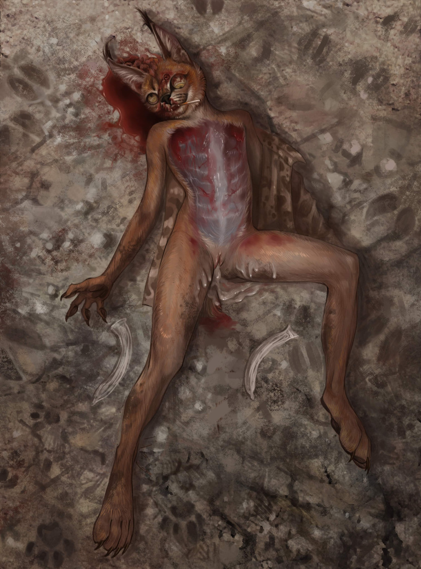 absurd_res abused african_cat after_rape after_sex anthro anthro_on_anthro arthropod bladapacha blood bodily_fluids brain_damage brains breasts brown_body brown_fur bullet_hole caracal_(genus) carcass cigarette civil_war claws claws_out clothing condom cum cum_in_pussy cum_inside dead_eyes death deer desecration dipteran docked_tail domestic_cat dotages duo fangs felid feline felis female filled_condom filled_to_the_brim foggy_eyes footprint forced forced_exposure fur genital_fluids genitals gore group gun gunshot hard_vore head_wound hi_res hooves humanoid_pointy_ears insect killing leaking_pussy male male/female mammal murid murine neco necrophilia non_con open_mouth pattern_clothing pawpaws pawprint paws pool_of_blood predator/prey pupils pussy pussy_leaking ranged_weapon rape raped rat rifle rodent rotting sex_toy sexual_barrier_device short_tail size_difference skinned skinning slit_pupils small_breasts smaller_femail smaller_female smoking snuff spread_legs spreading story story_in_description striped_clothing stripes sudden_death tail teeth trio undressed violence vore war war_time warrior weapon whitetail yellow_eyes young_adult