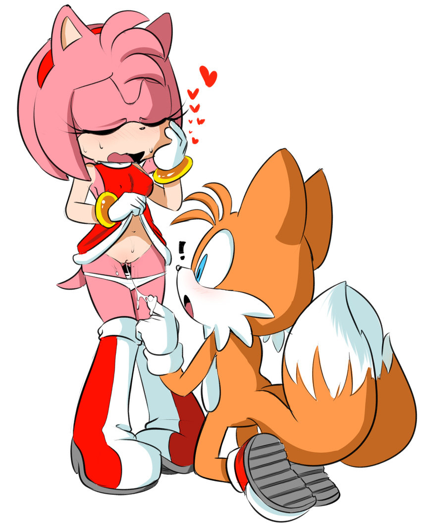 canine clothing female fox fur hearlesssoul invalid_tag male mammal panties pussy sonic_(series) underwear