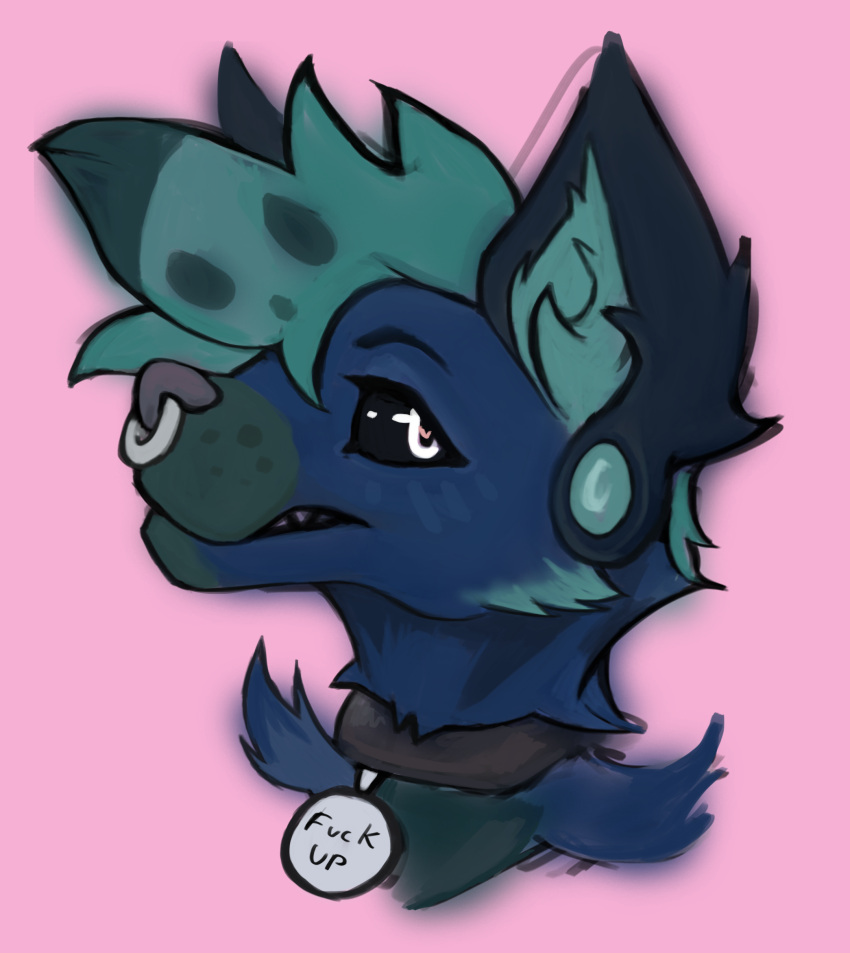 absurd_res anthro blue_body blue_fur canid canine canis collar ear_piercing ethan0 facial_piercing fur hair hi_res hybrid hyena male mammal maverick_(galaxy) nose_piercing nose_ring piercing ring_piercing solo tag teal_hair white_eyes wolf