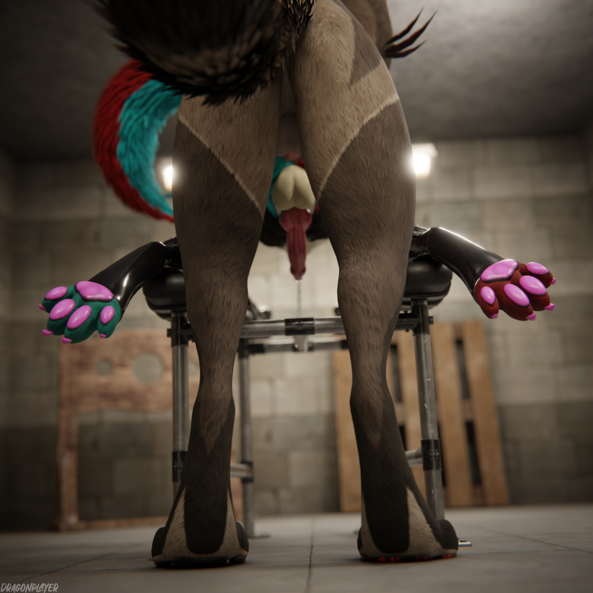 1:1 3d_(artwork) 4k absurd_res all_fours anal anal_penetration animal_genitalia animal_penis anthro anthro_on_anthro anthro_penetrated anthro_penetrating anthro_penetrating_anthro arms_tied armwear artsybin ball_gag balls basement bdsm bdsm_gear bdsm_outfit big_dom_small_sub biped blender_(software) blender_cycles blue_body blue_fur bodily_fluids bondage bound breeding_mount breeding_slave breeding_stand brown_body brown_fur canadien canid canine canine_genitalia canine_penis claws clothing cuffs_(clothing) cum cum_drip cum_dripping_from_penis cum_in_ass cum_inside cum_on_knot cum_on_penis cumshot depth_of_field digital_media_(artwork) dominant dominant_male dragonplayer dripping dungeon duo ejaculation erection feet foot_focus fox fur furniture gag gagged genital_fluids genitals gloves hair hands_on_hips handwear hi_res hindpaw inside kneeling kneeling_sex knot larger_male latex latex_armwear latex_clothing latex_gloves latex_handware latex_handwear latex_legwear latex_thigh_highs legs_tied legs_up legwear male male/male male_penetrated male_penetrating male_penetrating_male mammal multicolored_body open_mouth orgasm paws penetration penile penile_penetration penis penis_in_ass pink_penis red_body red_fur reflection restraints rexouium sex size_difference slim slim_anthro slim_male slim_sub smile submissive submissive_male tail teeth thigh_highs white_body white_fur