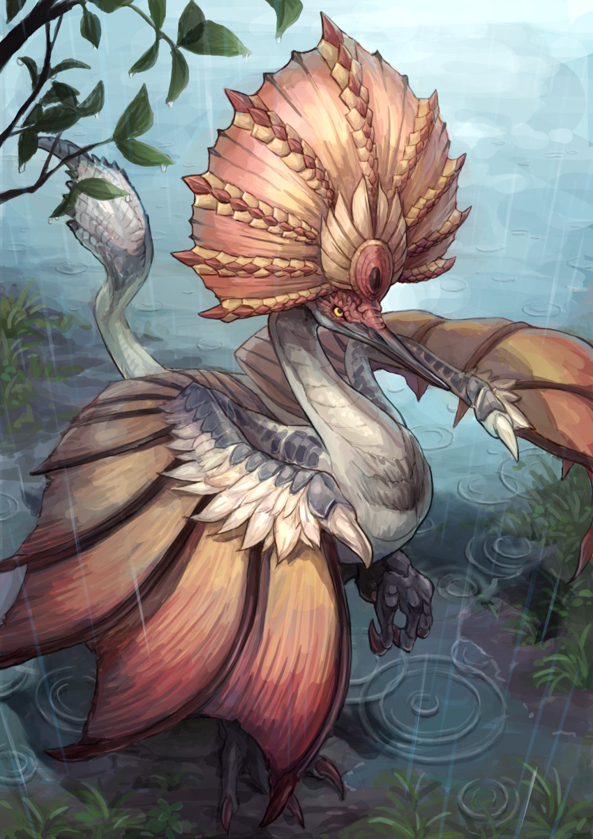 aknosom beak bird branch closed_mouth dragon feathers full_body grass highres monster monster_focus monster_hunter_(series) monster_hunter_rise puddle raika_(raika_3890) rain solo standing standing_on_one_leg tail talons water wings wyvern yellow_eyes