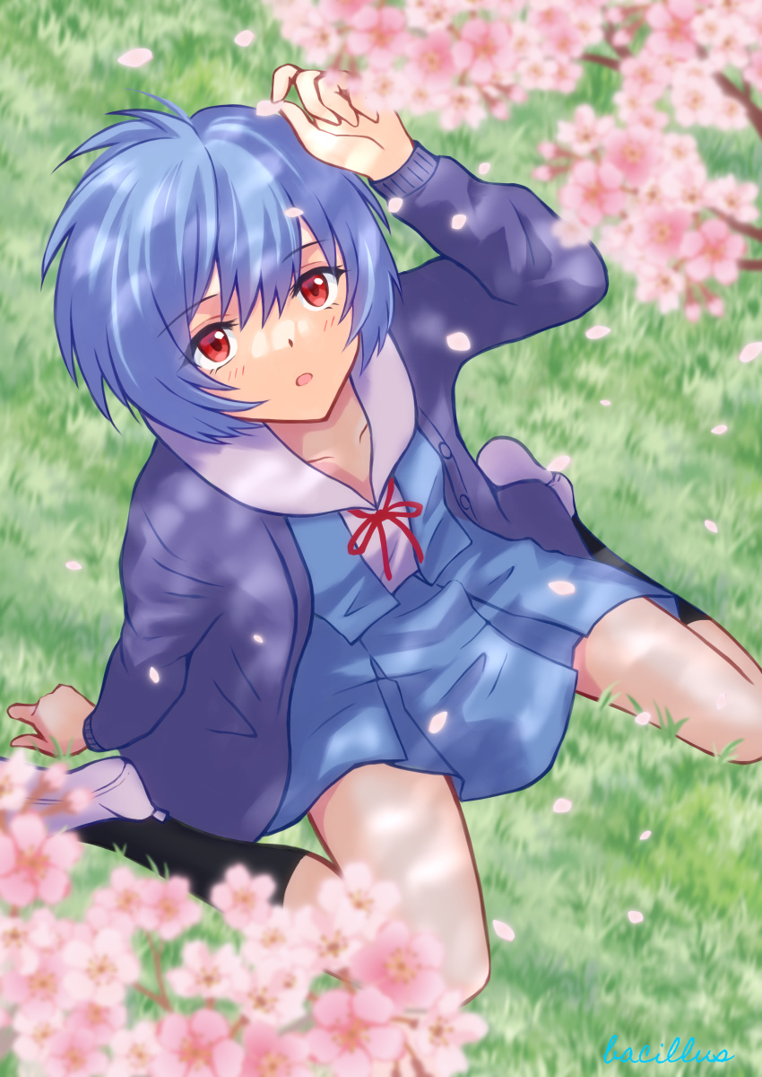 1girl :o absurdres arm_behind_back arm_support artist_name ayanami_rei bacillus birthday black_socks blue_hair blue_skirt blush bow bowtie branch cardigan cherry_blossoms collarbone commentary dress_shirt falling_petals from_above grass hair_between_eyes hands_up highres holding holding_petal kneehighs long_sleeves looking_up neck_ribbon neon_genesis_evangelion on_ground open_mouth petals pleated_skirt purple_cardigan red_bow red_bowtie red_eyes red_ribbon ribbon sailor_collar school_uniform shirt shoes short_hair signature sitting skirt socks solo spring_(season) suspender_skirt suspenders tokyo-3_middle_school_uniform uwabaki wariza white_footwear white_sailor_collar white_shirt wind