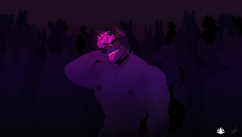 2021 absurd_res anthro background_character barazoku black_collar black_hair black_nose canid canine canis collar digital_media_(artwork) domestic_dog fur hair hi_res male mammal melaisen multicolored_hair muscular muscular_anthro muscular_male pink_hair pink_teeth purple_body purple_fur purple_theme purple_tongue smile solo_focus teeth tongue tongue_out two_tone_hair