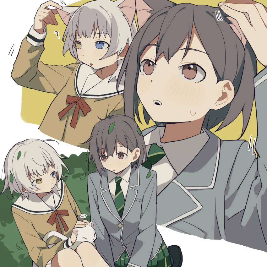 2girls ? animal_ears bang_dream! bang_dream!_it's_mygo!!!!! blazer blue_eyes brown_eyes brown_shirt cat cat_ears cat_girl coldcat. collared_shirt commentary diagonal-striped_clothes diagonal-striped_necktie green_necktie green_skirt grey_hair grey_jacket hanasakigawa_school_uniform haneoka_school_uniform heterochromia highres jacket kaname_raana kemonomimi_mode leaf leaf_on_head long_hair long_sleeves multiple_girls multiple_views neck_ribbon necktie open_mouth plaid plaid_skirt pleated_skirt red_ribbon ribbon sailor_collar school_uniform serafuku shirt short_hair sitting skirt striped_clothes sweatdrop takamatsu_tomori white_cat white_hair white_sailor_collar white_shirt white_skirt yellow_eyes