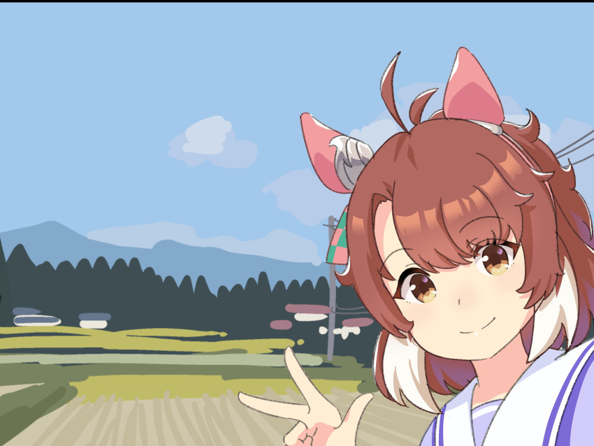 1girl absurdres animal_ears antenna_hair asymmetrical_bangs brown_eyes brown_hair closed_mouth cloud dantsu_flame_(umamusume) day ear_covers hairband hand_up highres horse_ears kashinoki_(koaaski) looking_at_viewer outdoors portrait purple_shirt sailor_collar shirt short_hair smile solo umamusume w