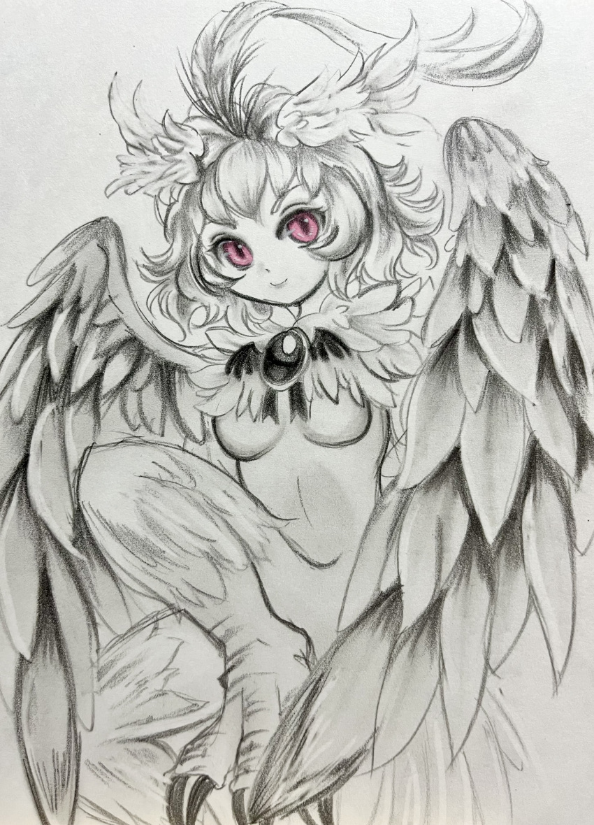 1girl absurdres bird_legs breasts chsg4887 feather_hair_ornament feathered_wings feathers graphite_(medium) hair_ornament harpy highres looking_at_viewer monochrome monster_girl original pink_eyes short_hair small_breasts smile solo spot_color talons traditional_media underboob winged_arms wings