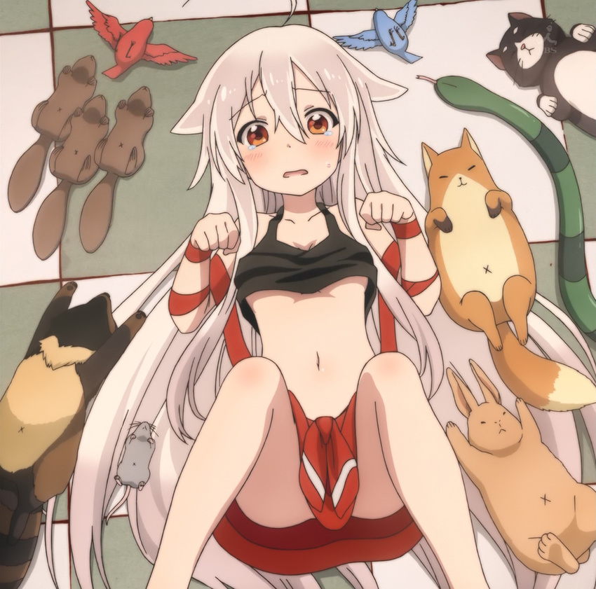 animal blush chiya_(urara_meirochou) convenient_censoring crying highres long_hair looking_at_viewer lying midriff navel on_back on_floor orange_eyes screencap urara_meirochou very_long_hair white_hair