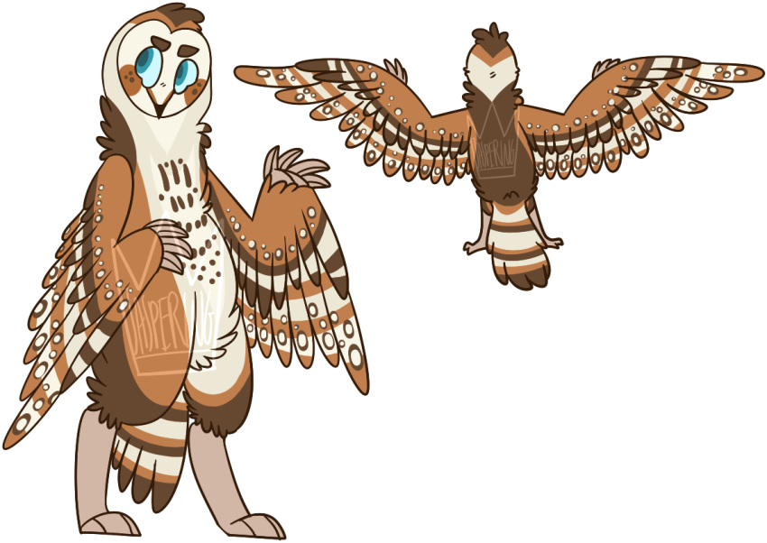 2017 alpha_channel ambiguous_gender anthro avian barn_owl beak bird black_beak blue_eyes blue_pupils blue_sclera brown_body brown_eyebrows brown_feathers claws digital_drawing_(artwork) digital_media_(artwork) digitigrade eyebrows feathered_wings feathers featureless_crotch flat_colors head_tuft jaspering markings model_sheet owl pupils simple_background solo spots spotted_body spotted_feathers standing tail tail_feathers tan_body tan_claws tan_feathers transparent_background tuft tyto tytonid wing_claws wings