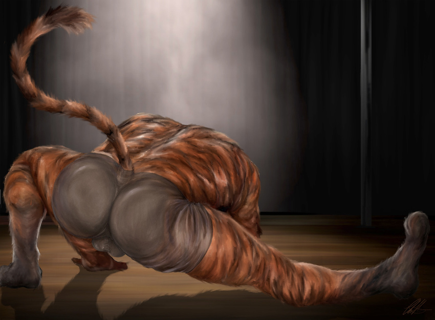 2017 anthro back_muscles barefoot black_fur boxers_(clothing) bulge clothed clothing faceless_male feline fur killianwalker male mammal muscular muscular_male orange_fur shadow signature solo stretching stripes tiger toes topless underwear