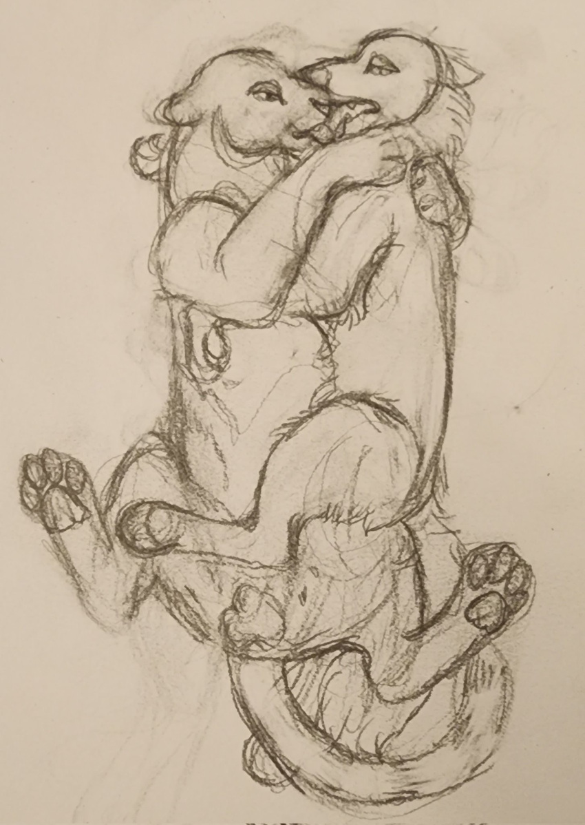 balls briarlupine canid canine duo felid feral genitals graphite_(artwork) hi_res interspecies male mammal pantherine pencil_(artwork) penis traditional_media_(artwork)