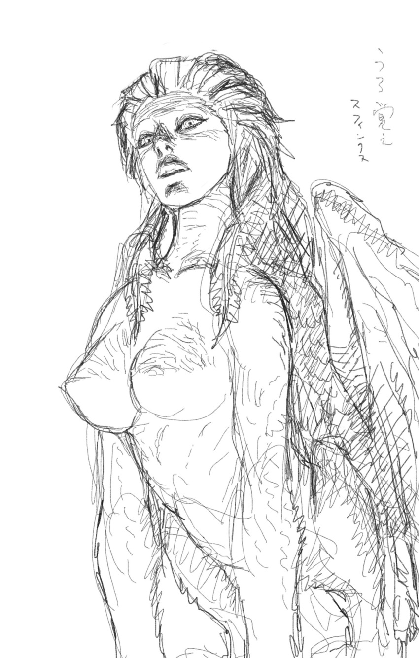 1girl breasts dragon's_dogma dragon's_dogma_ii glaring greyscale highres ikeno_daigo large_breasts looking_at_viewer monochrome monster monster_girl nipples official_art parted_lips simple_background sketch solo sphinx_(dragon's_dogma) wings