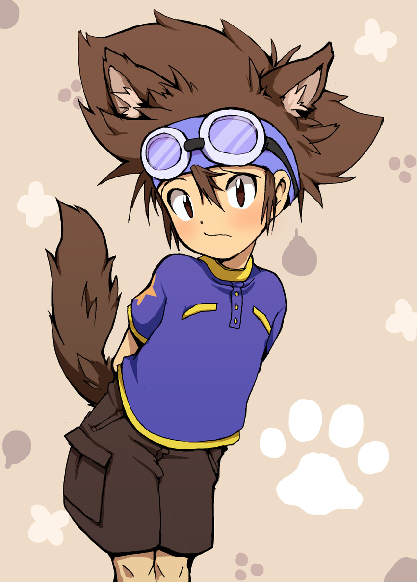 animal_ears blush brown_hair commentary_request digimon digimon_adventure dog_ears dog_tail dogboy goggles highres male_focus okome_(kome_kuma) paw_print solo tail yagami_taichi