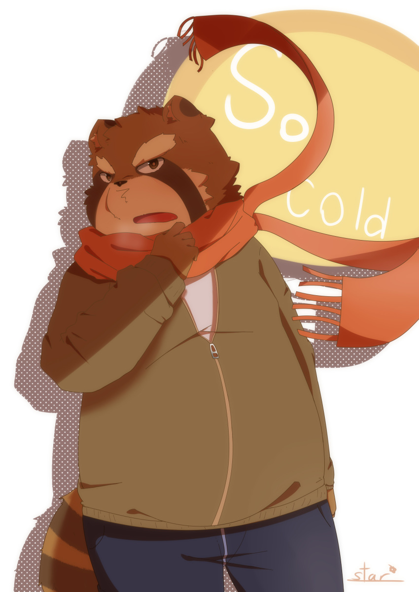 2014 anthro art_hoshi canine clothing english_text humanoid_hands male mammal pants scarf slightly_chubby solo sweater tanuki text