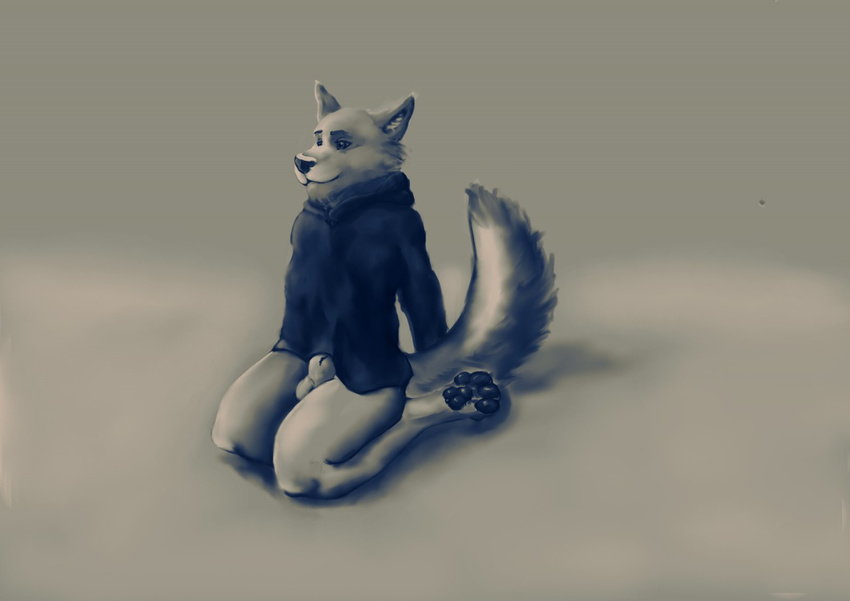 animal_genitalia balls canine clothed clothing fur hoodie invalid_tag kneeling male mammal partially_clothed sheath solo tygrysiolowek white_fur wolf