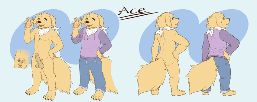 ace_retriever alternate_version_available anthro balls barefoot canine cerb0980 clothed clothing dog erection flaccid flat_colors front_view fully_clothed golden_retriever hand_on_hip hikuchi hoodie looking_at_viewer male mammal model_sheet mostly_nude neckerchief pawpads penis rear_view retracted_foreskin solo standing uncut waving