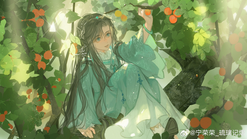 1girl absurdres artist_request black_footwear black_hair blue_dress branch douluo_dalu dress food fruit full_body highres holding holding_branch in_tree light_particles light_rays long_hair long_sleeves looking_up ning_rongrong_(douluo_dalu) orange_(fruit) second-party_source sitting sitting_in_tree solo tiara tree