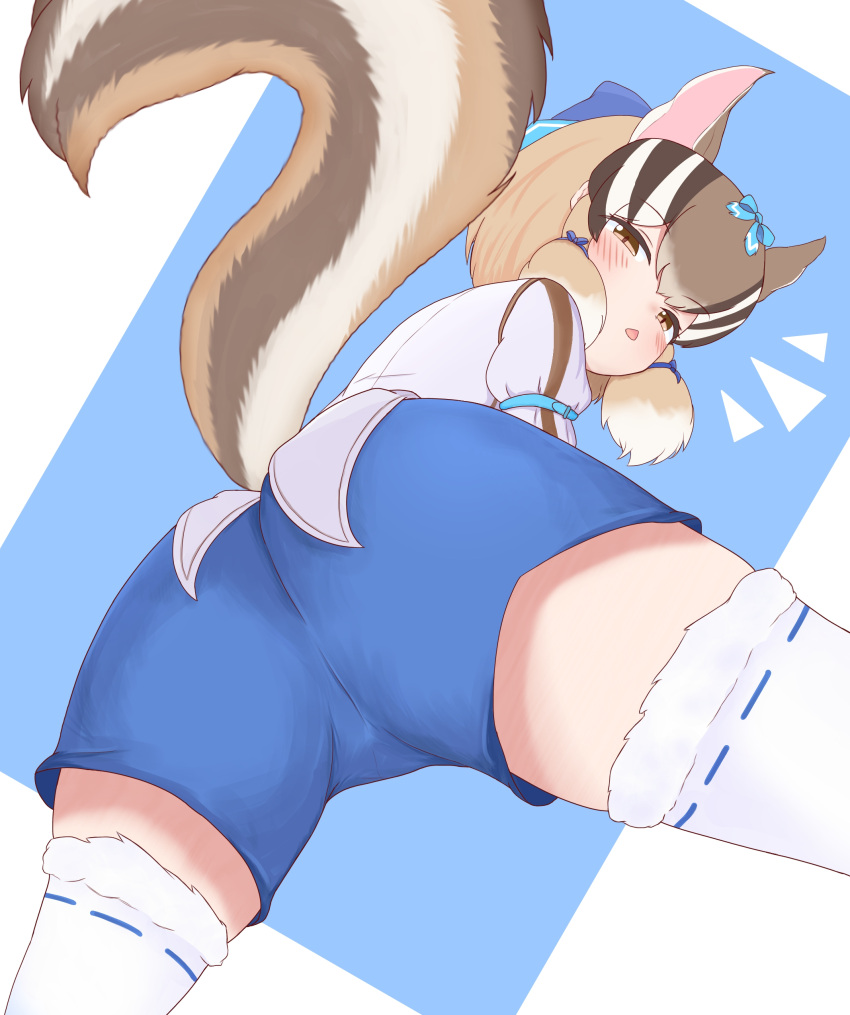 1girl absurdres animal_ears blue_background brown_eyes brown_hair chipmunk_ears chipmunk_girl chipmunk_tail extra_ears highres kemono_friends kemono_friends_v_project korin_589 looking_at_viewer looking_back ribbon shirt short_hair shorts siberian_chipmunk_(kemono_friends) simple_background solo tail thighhighs vest virtual_youtuber