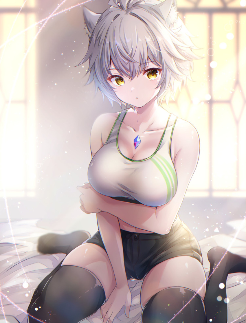 animal_ears bare_arms black_shorts black_thighhighs breasts cat_ears chest_jewel cleavage collarbone day grey_hair highres indoors knees_out_of_frame large_breasts midriff_peek na'el_(xenoblade) on_bed short_hair short_shorts shorts sitting sports_bra thighhighs ui_frara wariza xenoblade_chronicles_(series) xenoblade_chronicles_3 xenoblade_chronicles_3:_future_redeemed yellow_eyes