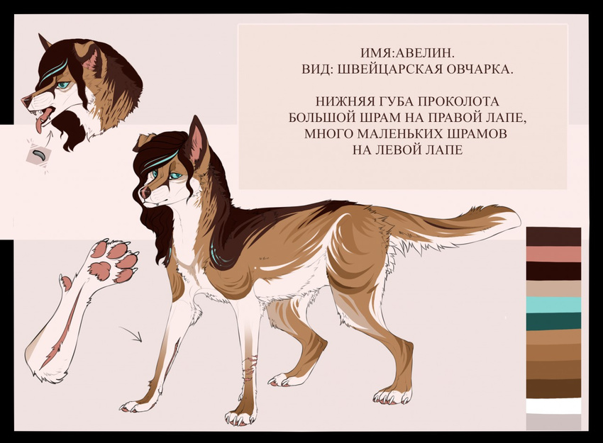 ambiguous_gender canine feral fur hair looking_at_viewer mammal model_sheet russian_text scar solo standing text tongue tongue_out zumjakal