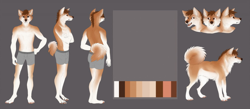 anthro canine clothed clothing corgi dog feral fur hair looking_at_viewer male mammal model_sheet solo standing topless underwear zumjakal