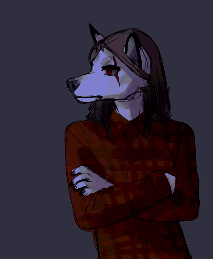 ambiguous_gender anthro canine clothed clothing crossed_arms hair mammal plgdd sketch solo standing