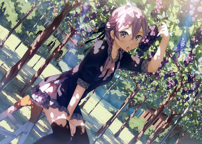 absurdres arm_up black_legwear blue_dress blush braid breasts day dress dutch_angle food fruit grapes hair_over_shoulder highres huge_filesize kantoku long_hair looking_at_viewer open_mouth original outdoors purple_eyes purple_hair scan sitting small_breasts solo stepladder sunlight thighhighs twin_braids