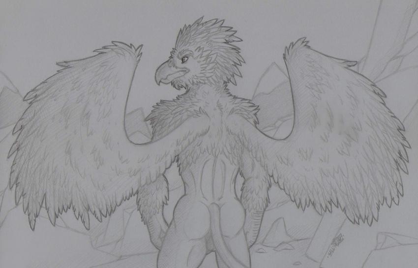 anthro avian bottomless butt clothed clothing general: gryphon male rear_view sillywerwolf solo wings