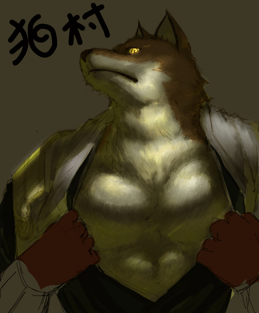 2010 anthro bleach_(series) canine fur japanese_text male mammal muscular p!k@ru sajin_komamura simple_background solo text wolf