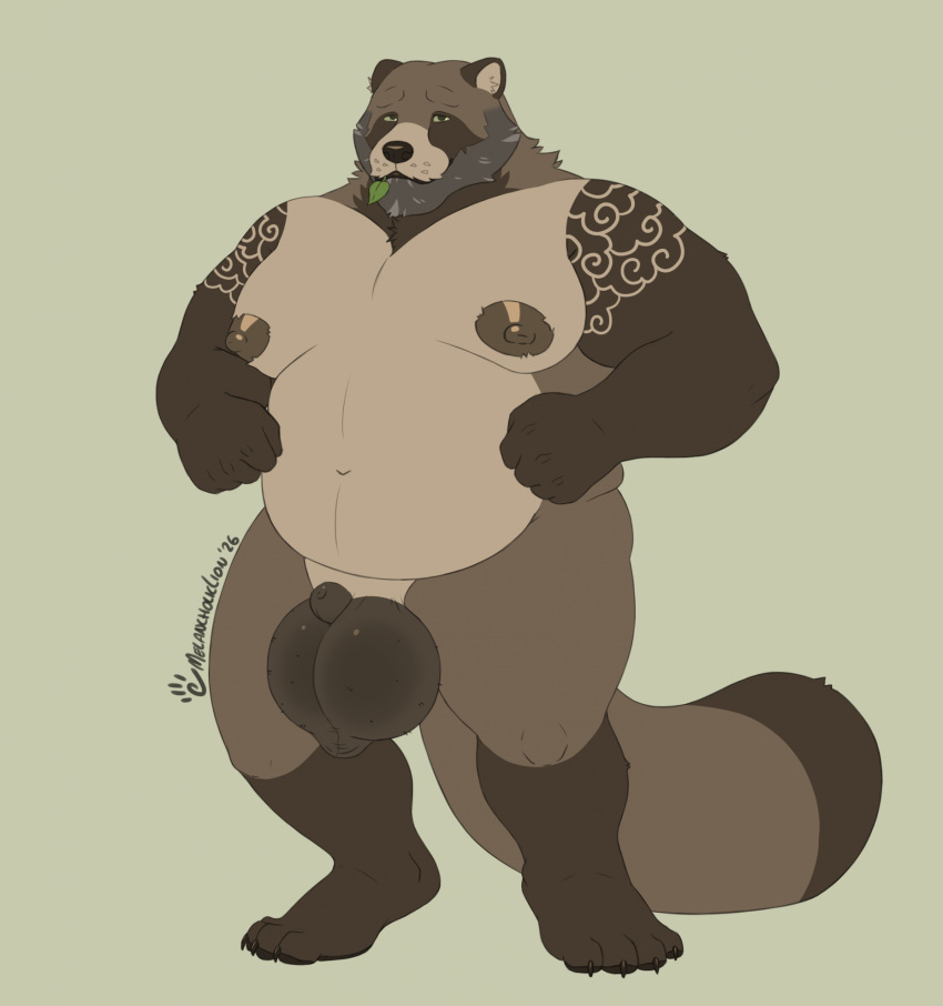 2026 animal_genitalia anthro areola balls barazoku beard belly biceps big_balls big_muscles canid canine claws facial_hair fully_sheathed fur genitals hi_res huge_balls huge_muscles leaf leaf_in_mouth looking_at_viewer male mammal mature_anthro mature_male melancholiclion musclegut muscular muscular_anthro muscular_male navel nipples nude overweight overweight_anthro overweight_male pecs raccoon_dog scrotum_flap sheath signature simple_background solo standing tan_background tanuki tattoo thick_arms thick_thighs tuft ushitaro_(melancholiclion)