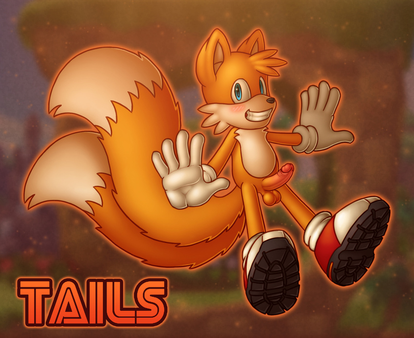 anthro balls blue_eyes blush canine chokodonkey clothing erection footwear fox fur gloves hair looking_at_viewer male mammal miles_prower penis shoes smile solo sonic_(series)